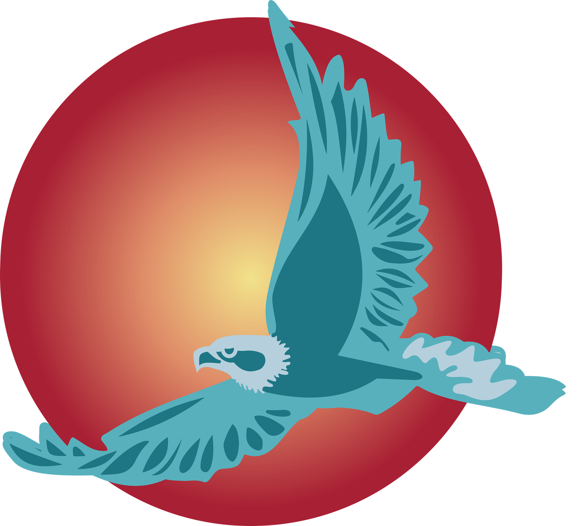 Kora Express
